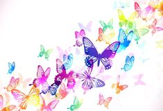 a group of colorful butterflies flying in the air