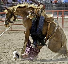 a cowboy falling off his horse in an arena while holding on to the lasso