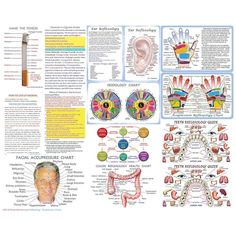 Iridology Chart, Acupressure Chart, Vedic Astrology Charts, Health Chart