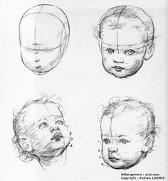 some drawings of babies'heads with different angles and facial features, including the head