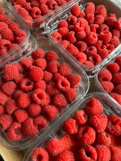 raspberries are in plastic containers on a table