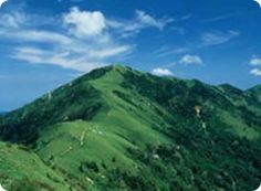 an aerial view of a lush green mountain