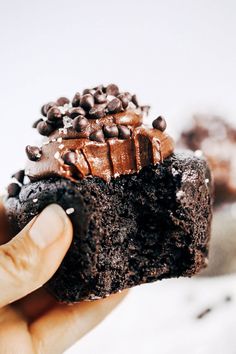 a hand holding up a chocolate cupcake with chocolate chips on top and frosting