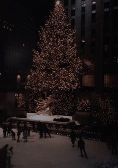 people skating in front of a large christmas tree at night with lights on the trees