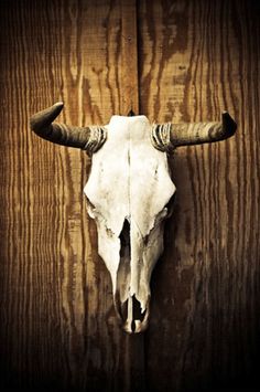 an animal's skull mounted on the side of a wooden door with long horns