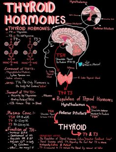 a poster with words describing the different types of hyroides and their functions