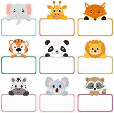 cute animals with blank signs on white background