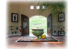 a large green bowl sitting on top of a rug in a room with pictures on the walls