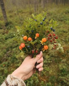 a person is holding some flowers in their hand on the side of a hill with grass and trees