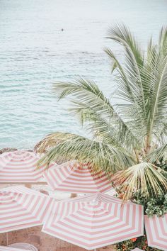 beach chairs and umbrellas are lined up on the sand near the water's edge