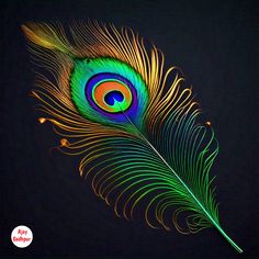 a colorful peacock feather on a black background