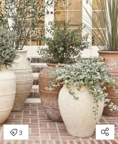 three large vases with plants in them sitting on a brick floor next to each other