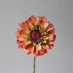 an orange and yellow flower in a vase