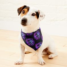 a dog wearing a purple bandana sitting on the floor in front of a white brick wall