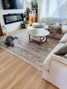 a dog laying on the floor in front of a couch and coffee table with a television mounted above it