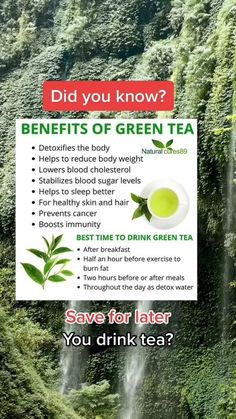 Best Time to Drink Green Tea #detox #detoxwater #health #tea #drinking Home Remedies For Bronchitis, Benefits Of Green Tea, Food Health Benefits, Home Doctor, Cold Home Remedies, Healing Food