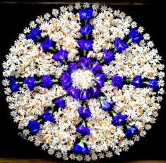 an arrangement of white and blue flowers arranged in a circular pattern on a black background