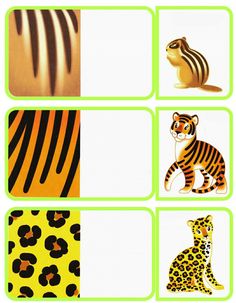 four different animal pictures are shown in green and yellow colors, including zebras, tiger, cheetah, leopard