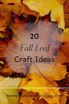 fall leaves with the words 20 fall leaf craft ideas on it in front of them