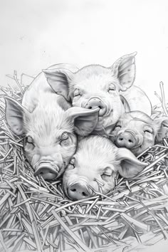 three little pigs are sleeping in the hay