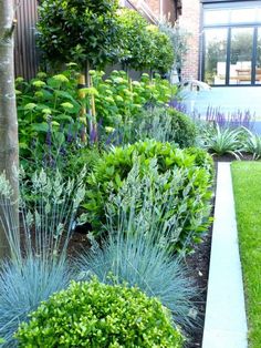 a garden with lots of different types of plants