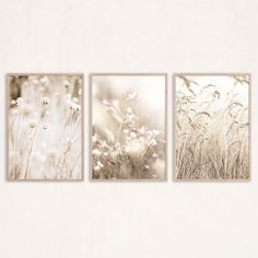 three pictures of grass and flowers on a wall