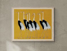 four black and white birds are standing in a row on a yellow background, with one bird looking at the camera