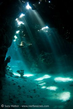 sunlight shining through the water into an underwater cave