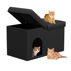 two cats sitting in a black cat house