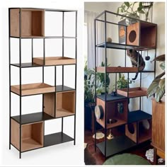 two pictures side by side one with shelves and the other has a cat in it