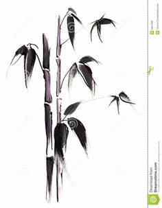 an ink painting of bamboo leaves on white paper stock photo - image 349784