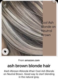 Going From Brown To Blonde To Cover Gray, Blonde Highlights On Dark Hair To Cover Gray, Dark Blonde Hair With Grey Highlights, Silver Ash Blonde Highlights, Ash Highlights In Brown Hair, Silver White Highlights On Brown Hair, Blonde Highlights Covering Grey, Dark Blonde With Grey Highlights, Best Hair Color To Cover Grey Hair Brunettes