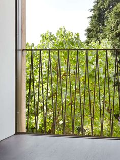 an open balcony door with plants and trees in the back ground, looking out at green foliage