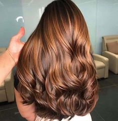 illuminated brunette hair color Apple Cider Hair, Brown Hair Balayage, Caramel Highlights, Hair Color Purple, Hair With Highlights, Winter Hair Color, Hair Balayage, Brown Hair With Highlights