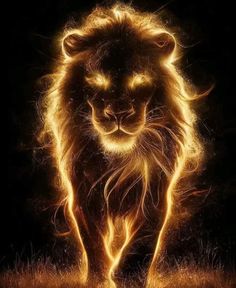 a lion is walking through the dark with its eyes open and it's face glowing