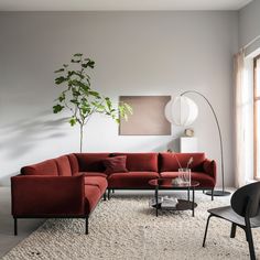 a living room filled with furniture and a large plant in the middle of the room