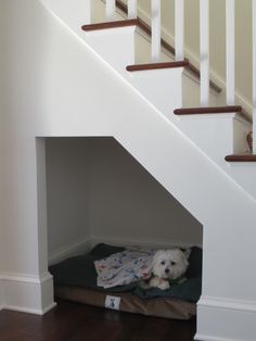 a small white dog laying on his bed under the stairs