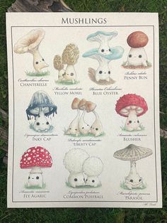 a poster with many different types of mushrooms on it's front cover in the grass