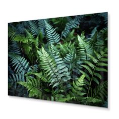 green fern leaves in the forest canvas wall art print