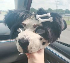 a dog with a bone on its head sticking out of a car window while being held up by someone's hand