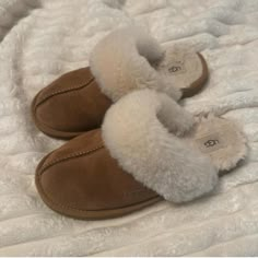 Ugg Slippers -Amazing Condition -Never Worn -Open To Offers Pinterest Shuffle, Shuffle Board, Ugg Slippers Women, Shoes Ugg, Shoes Ideas, Ugg Slippers, Women's Slippers, Slipper Shoes, My Shoes