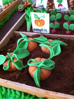 there are carrots in the dirt with plants growing out of them and on top of each other