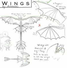 an image of how to draw dragon wings