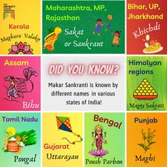 makar sankranti, sankranti, sakat, pongal, bihu, uttarayan, kite festival, harvest festival Mother And Baby Paintings, Desk Painting, Rama Lord, Culture Drawing, Educational Toddler Activities, Harvest Festivals, Chemistry Study Guide, Indian States, Easy Rangoli Designs Videos