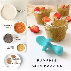 pumpkin chia pudding recipe with ingredients labeled on the bottom and in separate bowls next to each other