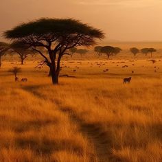 an open field with animals and trees in the background