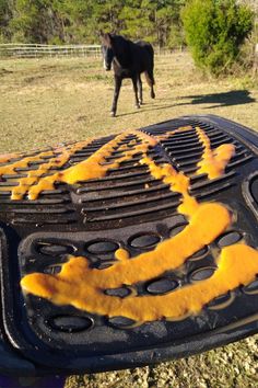 a horse is standing in the background behind a grill with yellow substance on it's surface