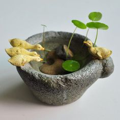 three little ducks are sitting in a bowl with water and plants growing out of it