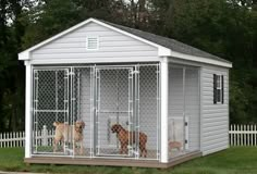 two dogs are in their kennels outside on the grass and trees behind them