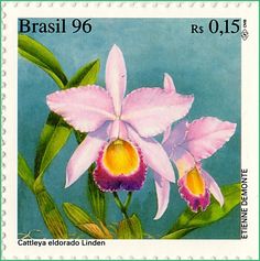 a postage stamp with two pink orchids on it's front and back side